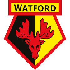 Watford Development