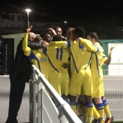 Grays V Haringey Borough Report